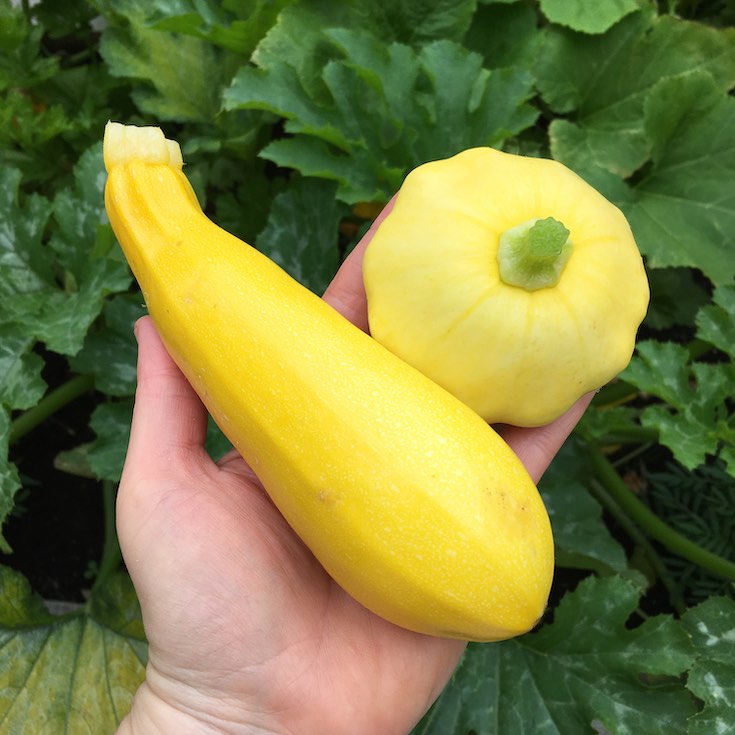 Pantry Challenge 2020 with Kiwi Family Kitchen NZ