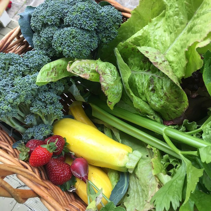 Practical tips for reducing food waste NZ