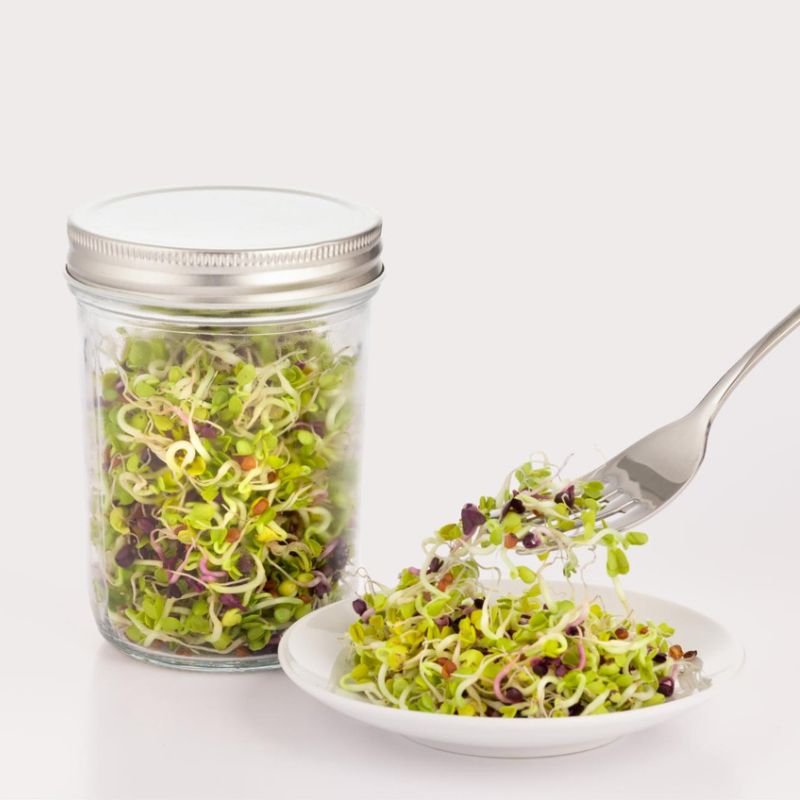 Sprouting Seeds & Kits - Grow Your Own Sprouts in Jars