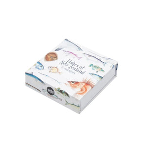 100%NZ Coasters – Fishes of New Zealand (Set of 6) in a box on a white background.