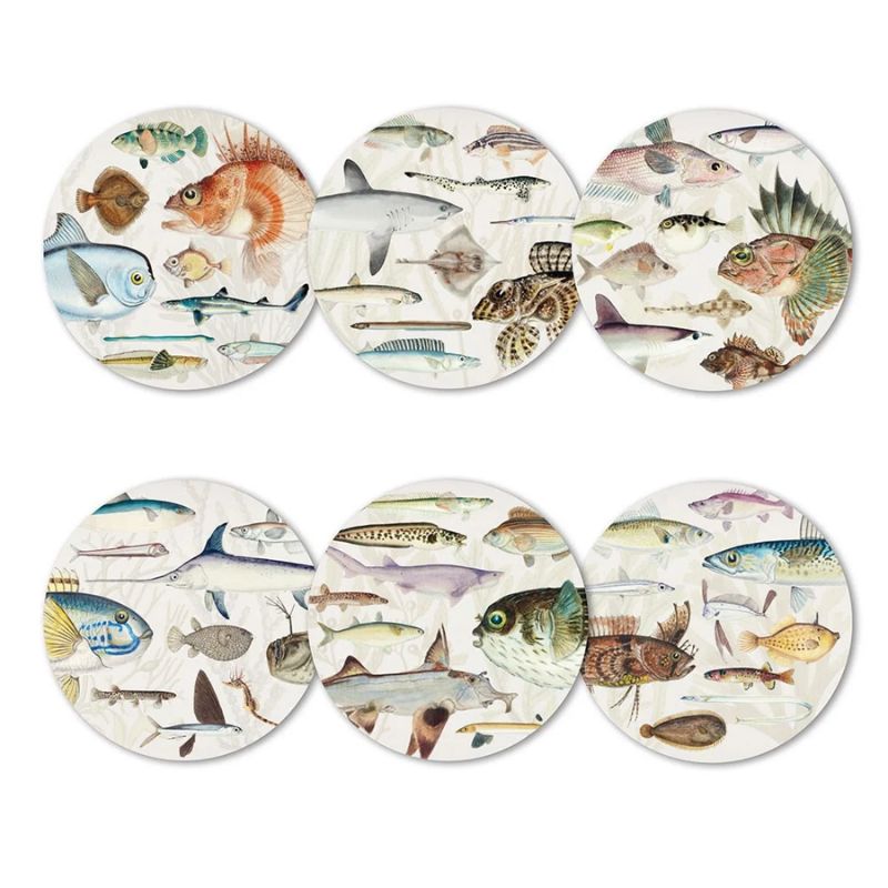 100%NZ Coasters – Fishes of New Zealand (Set of 6) in a box on a white background.