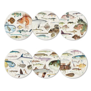 100%NZ Coasters – Fishes of New Zealand (Set of 6) laid out on a white background.