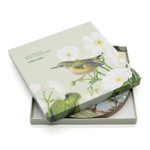 100%NZ Placemats – Birds & Botanicals (Set of 6) in packaging on a white background.