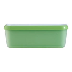 Avanti Easy Scoop Ice Cream Container in Pistachio colour shown front on against a white background.