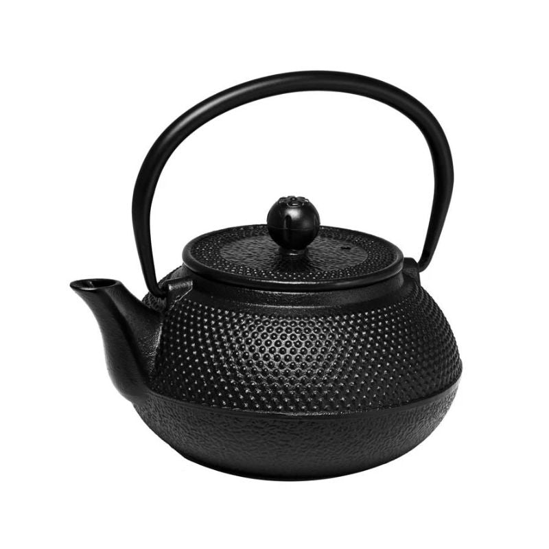 Avanti Hobnail Cast Iron Teapot 800 mL shown on a plain white background.