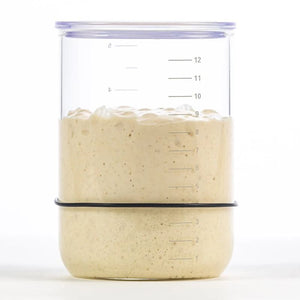 Brod & Taylor Sourdough Starter Jar close up against a white background.