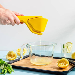 Juicing lemons using the Dreamfarm Fluicer | NZ