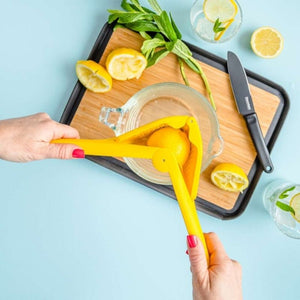 Birdseye view of juicing lemons using the Dreamfarm Fluicer | NZ