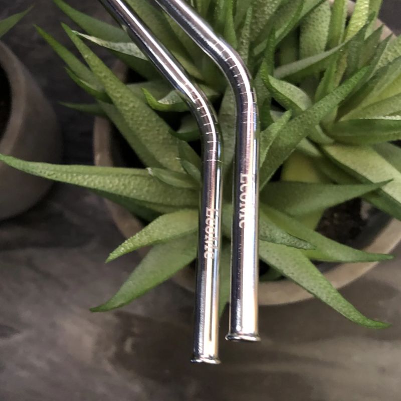 EcoMe Stainless Steel Bent Drinking Straws | NZ