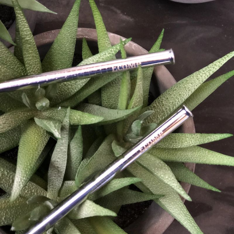 EcoMe Stainless Steel Cocktail Straw Pack | NZ
