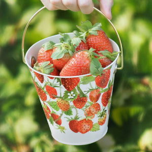 Emma Bridgewater Strawberries Foraging Bucket