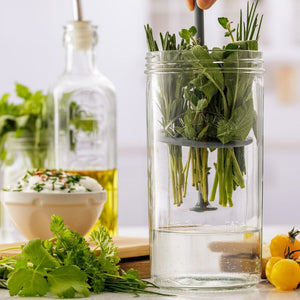 Kilner Herb Keeper on a kitchen bench with herbs and ingredients around it
