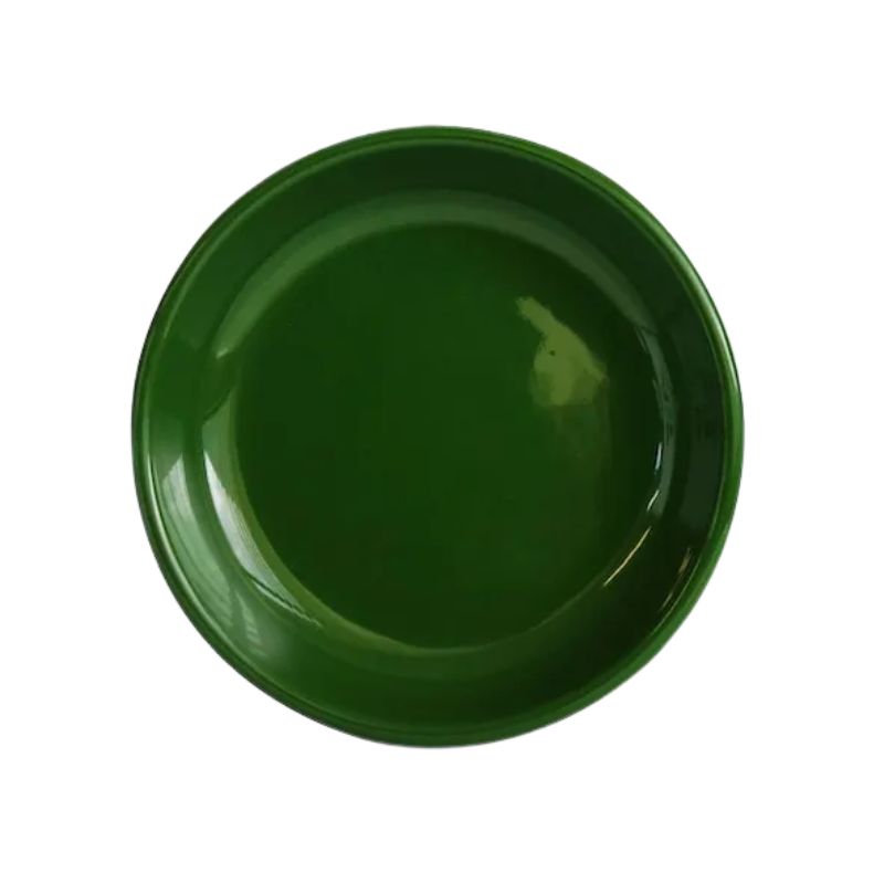 Hunt & Gather Plate/Bowl in Hunter Green shown against a white background.