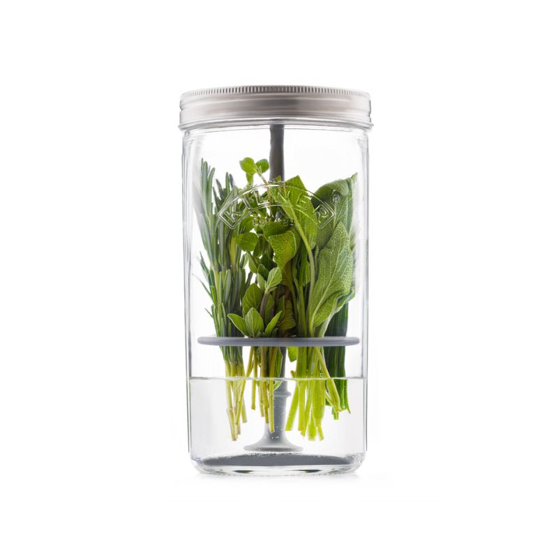 Kilner Herb Keeper filled with fresh herbs standing upright in water