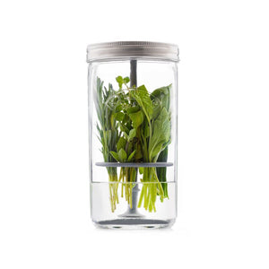 Kilner Herb Keeper filled with fresh herbs standing upright in water