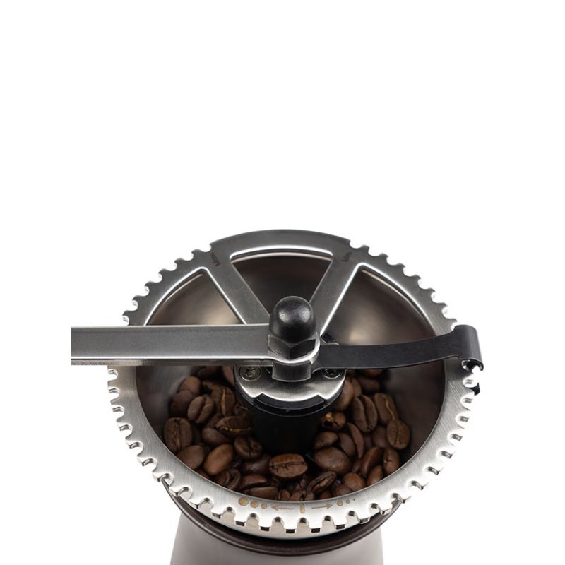Overhead view showing beans inside the grinder and burr mechanism