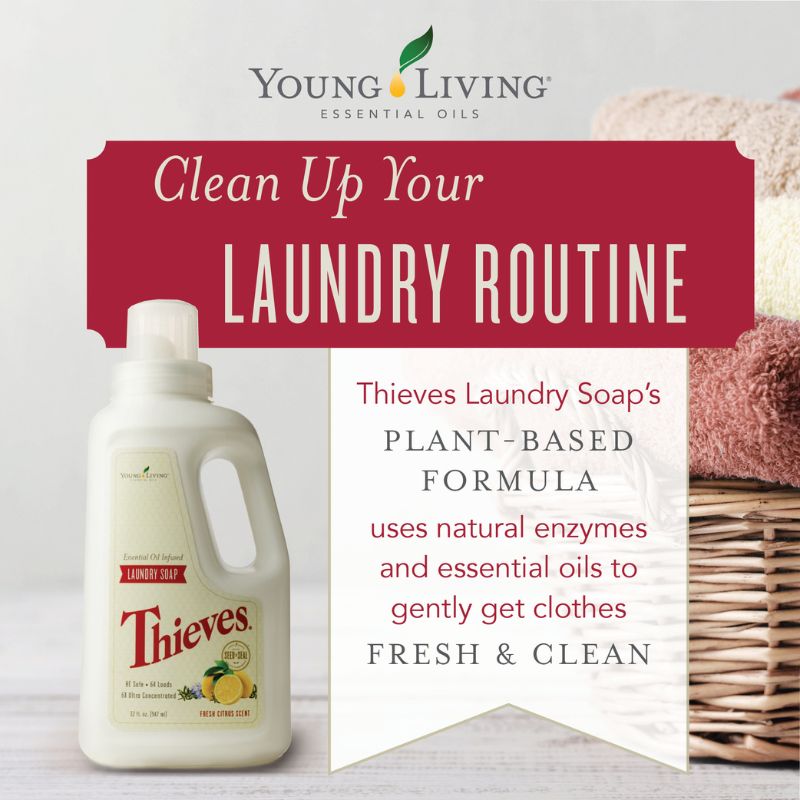 Young Living Thieves Laundry Soap bottle with information about its natural ingredients