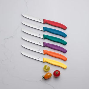 Victorinox Swiss Classic Steak & Tomato Knife Set – Multi Coloured shown on a grey surface with loose tomatoes.