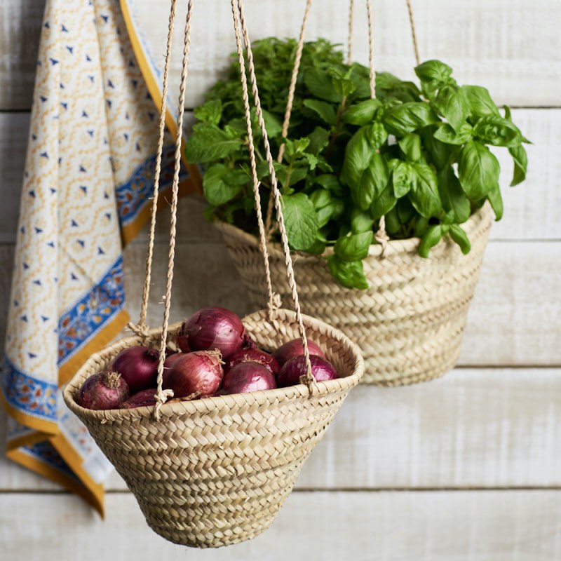 plants for hanging baskets nz Hanging baskets set for kitchen storage