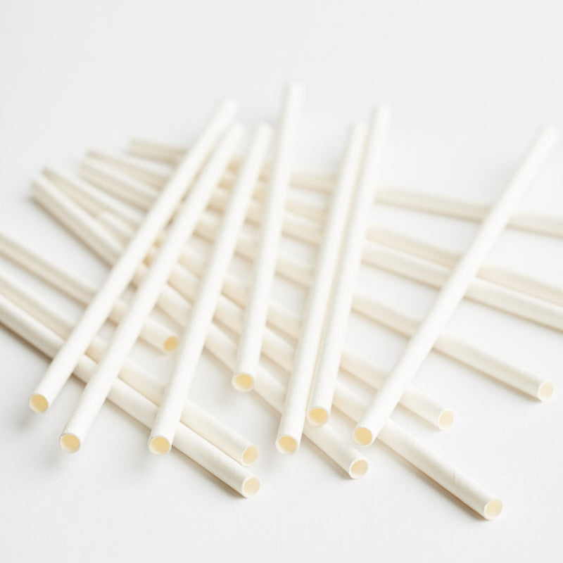 Paper Straws
