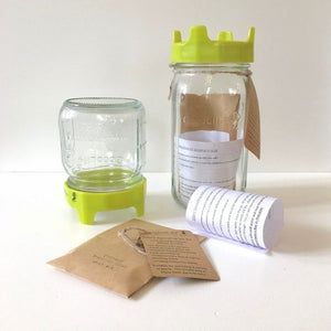 Sprouting Jar Kits NZ