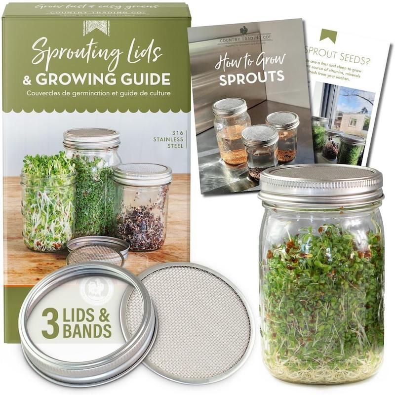 Stainless Steel Sprouting Lid Kit NZ